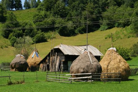 Excursion to the Pyrennes 2019