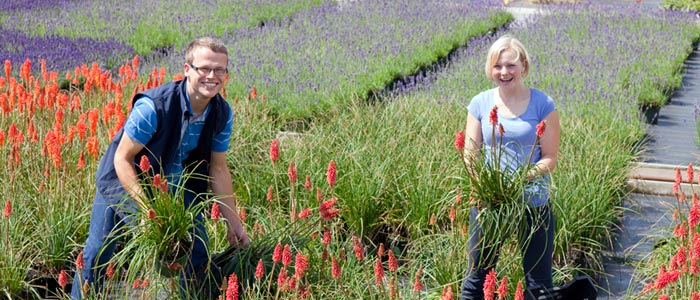 “Job offer” – International Hardy Plant Union offers young gardeners work placements in Europe