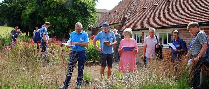 ISU commission for plant analysis presents six new perennials particularly suitable for the garden with the ISU Award